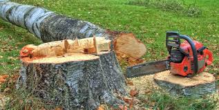 Best Emergency Tree Removal  in Fox Crossing, WI