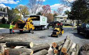 Best Sod Installation  in Fox Crossing, WI