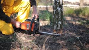 Best Aeration Services  in Fox Crossing, WI