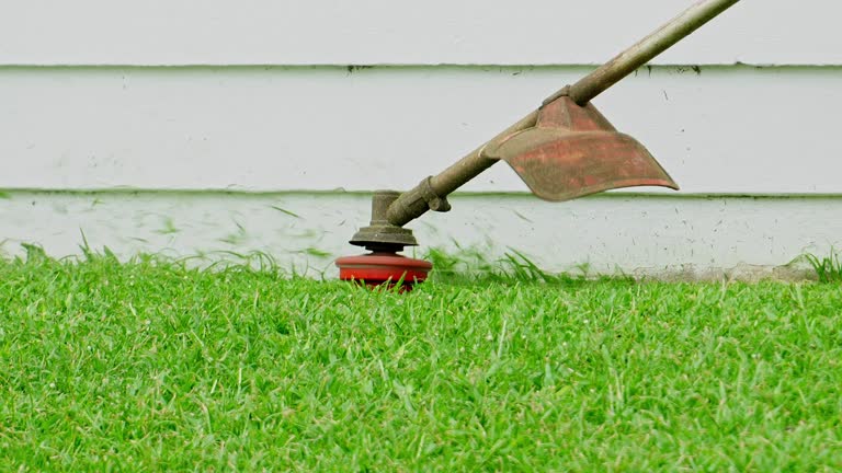 Best Lawn Maintenance Plans  in Fox Crossing, WI
