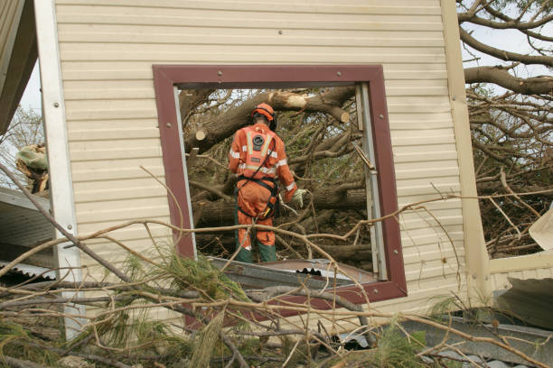 How Our Tree Care Process Works  in  Fox Crossing, WI