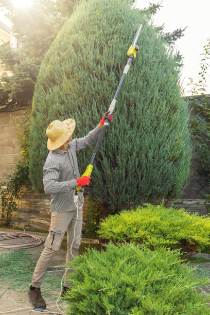 Best Lawn Grading and Leveling  in Fox Crossing, WI